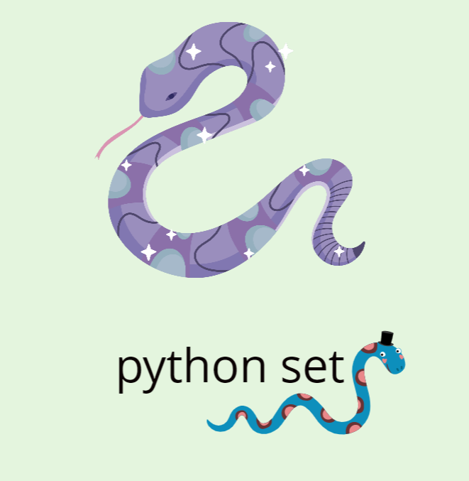 функция set python